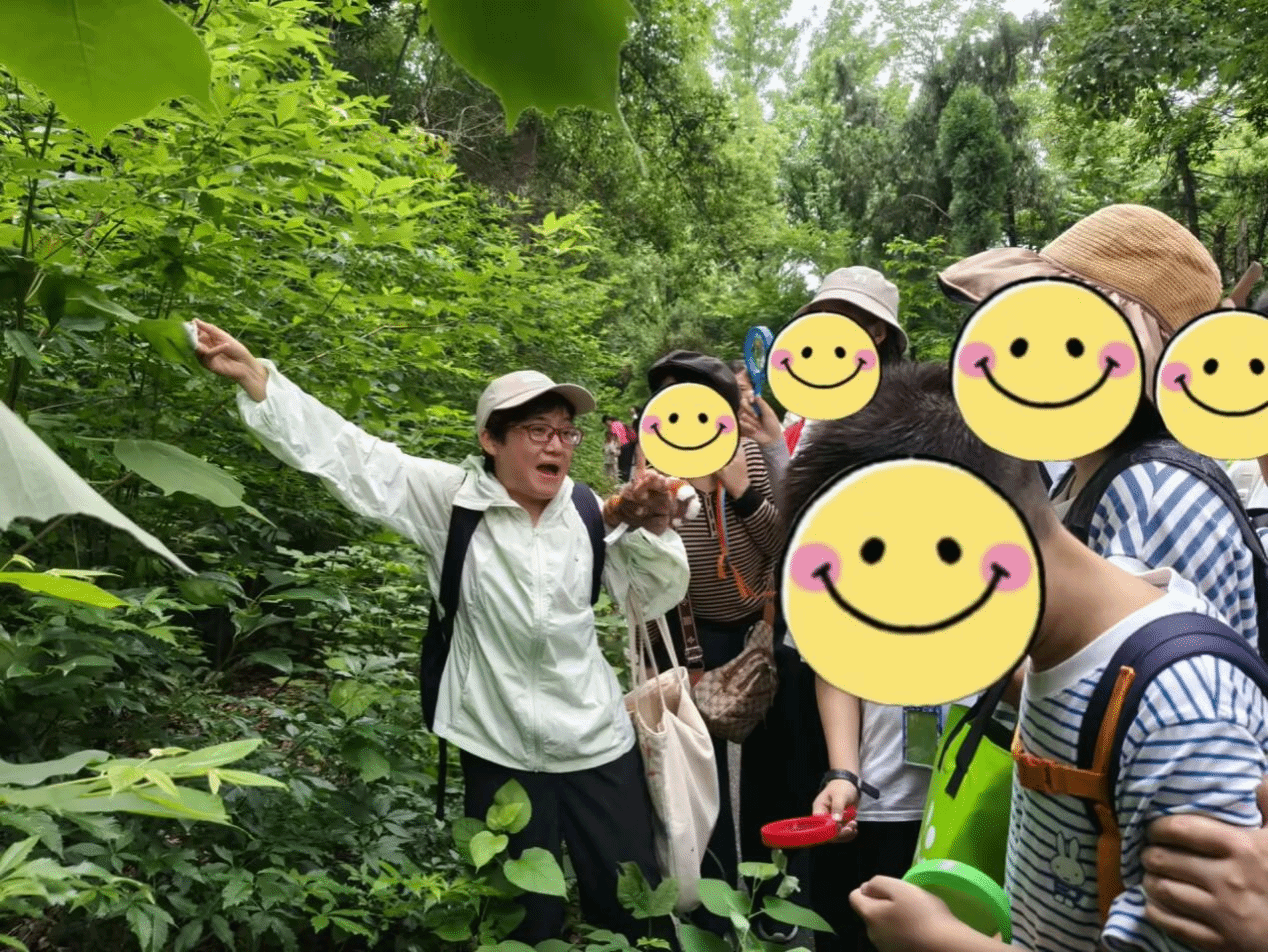 老虎机赌场